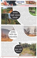 Page-7
