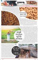 Page-11